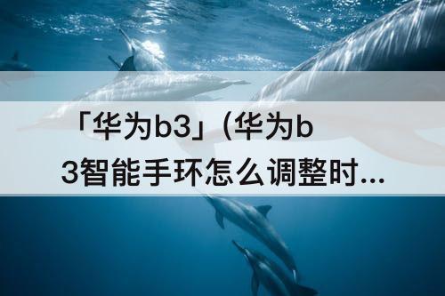 「华为b3」(华为b3智能手环怎么调整时间)