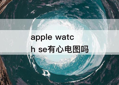 apple watch se有心电图吗