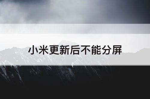 小米更新后不能分屏