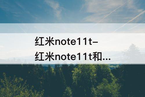 红米note11t-红米note11t和红米k40s怎么选