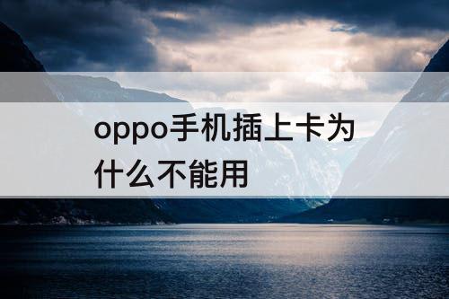 oppo手机插上卡为什么不能用