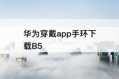 华为穿戴app手环下载B5