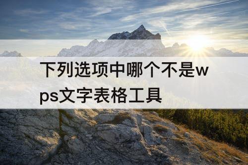 下列选项中哪个不是wps文字表格工具