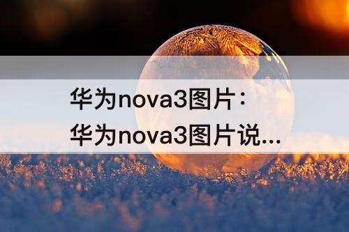 华为nova3图片：华为nova3图片说明