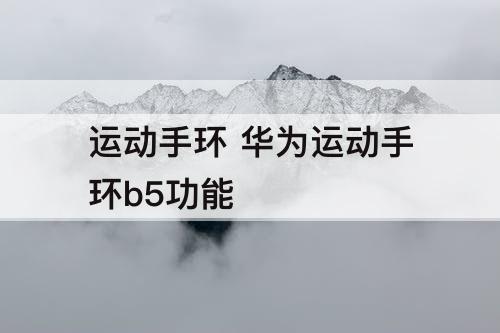 运动手环 华为运动手环b5功能