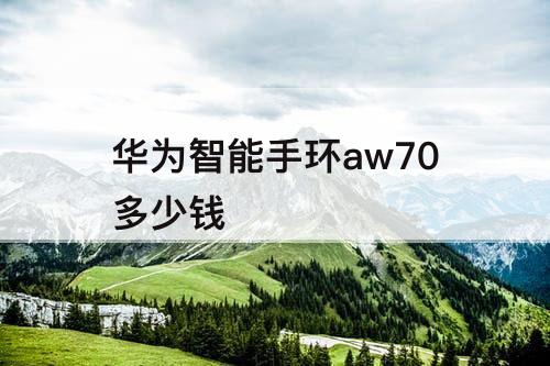 华为智能手环aw70多少钱