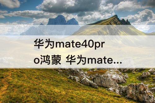 华为mate40pro鸿蒙 华为mate40Pro鸿蒙桌面布置