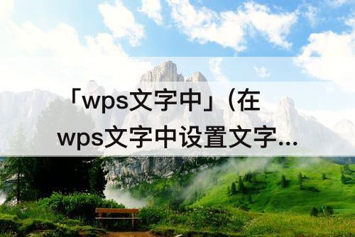 「wps文字中」(在wps文字中设置文字的字号什么设置出来的字最大)