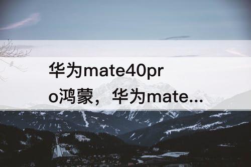 华为mate40pro鸿蒙，华为mate40pro鸿蒙3.0怎么添加桌面小工具