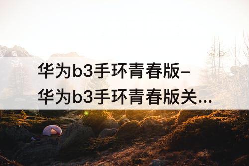 华为b3手环青春版-华为b3手环青春版关机