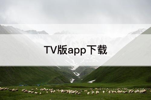 TV版app下载