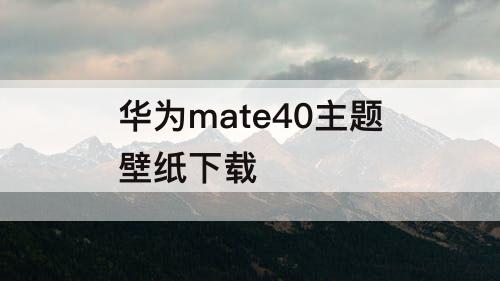 华为mate40主题壁纸下载