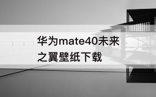 华为mate40未来之翼壁纸下载