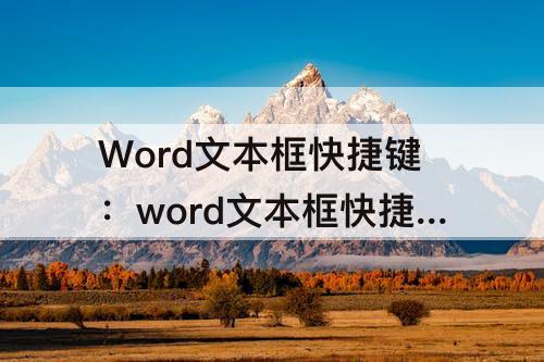 Word文本框快捷键：word文本框快捷键怎么设置