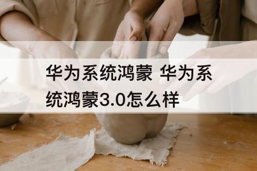 华为系统鸿蒙 华为系统鸿蒙3.0怎么样