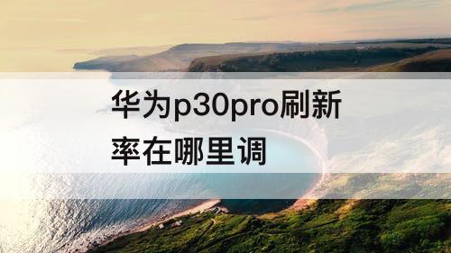 华为p30pro刷新率在哪里调