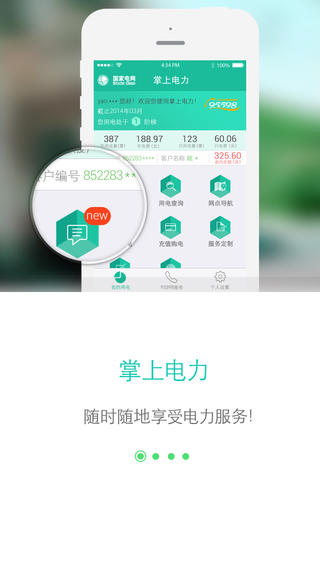 網(wǎng)上國網(wǎng)2020版本  v2.0.5圖2