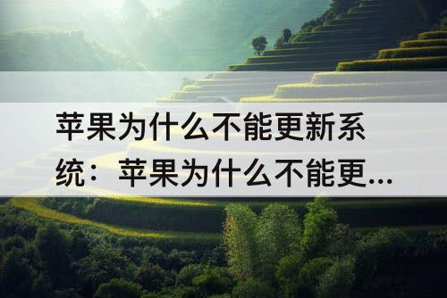 苹果为什么不能更新系统：苹果为什么不能更新系统16.0