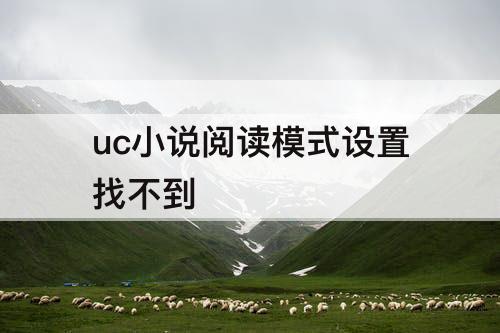 uc小说阅读模式设置找不到