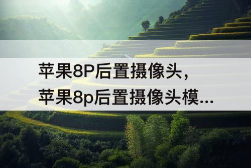 苹果8P后置摄像头，苹果8p后置摄像头模糊