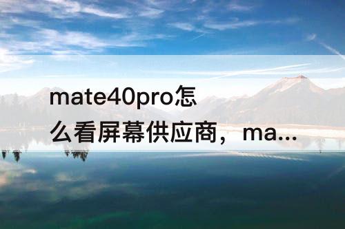 mate40pro怎么看屏幕供应商，mate40pro怎么看屏幕供应商 鸿蒙