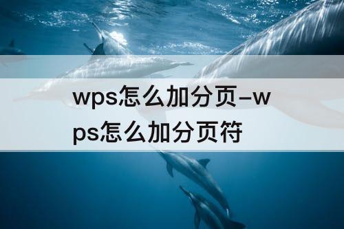 wps怎么加分页-wps怎么加分页符