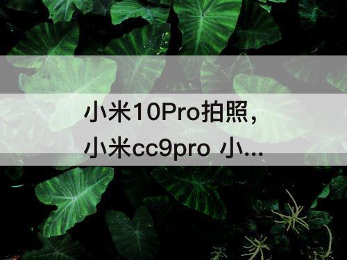 小米10Pro拍照，小米cc9pro 小米10pro拍照