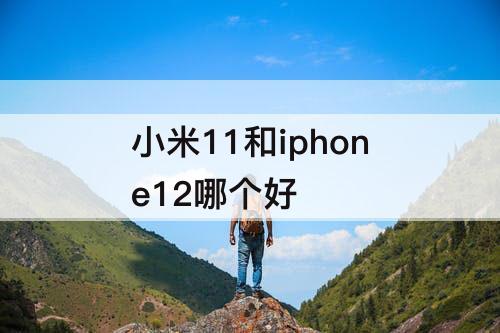 小米11和iphone12哪个好