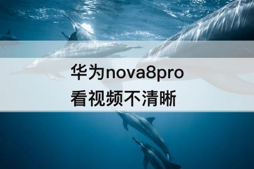 华为nova8pro看视频不清晰