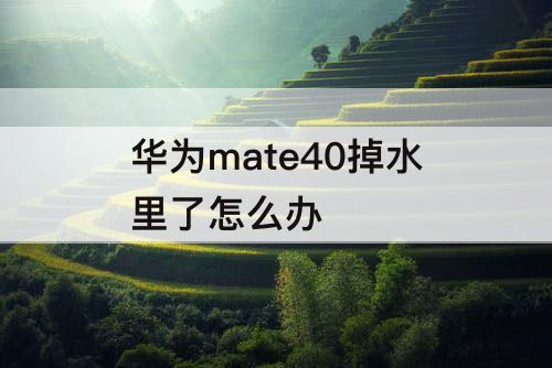 华为mate40掉水里了怎么办