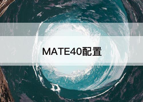 MATE40配置