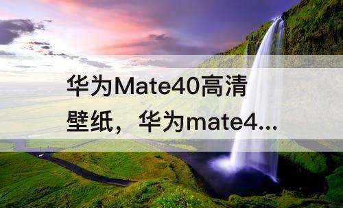 华为Mate40高清壁纸，华为mate40高清壁纸可爱