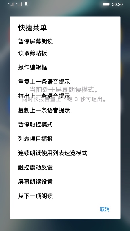 屏幕朗读器APP  v14.0.0.302图2