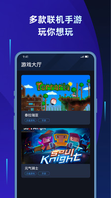 蒲公英联机平台旧版下载  v1.2图3