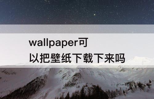 wallpaper可以把壁纸下载下来吗