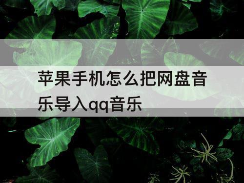 蘋果手機(jī)怎么把網(wǎng)盤音樂導(dǎo)入qq音樂