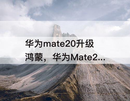 华为mate20升级鸿蒙，华为Mate20升级鸿蒙系统后相册有什么变化