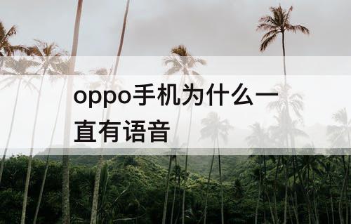 oppo手机为什么一直有语音