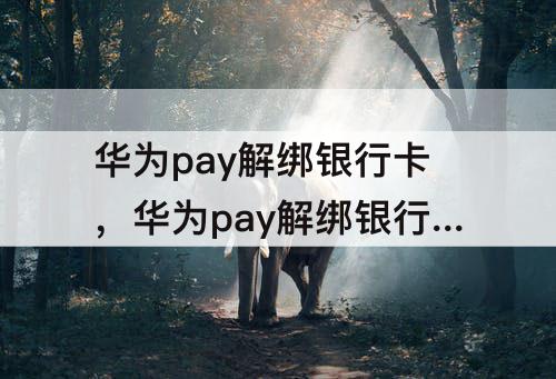 華為pay解綁銀行卡，華為pay解綁銀行卡后虛擬卡還在